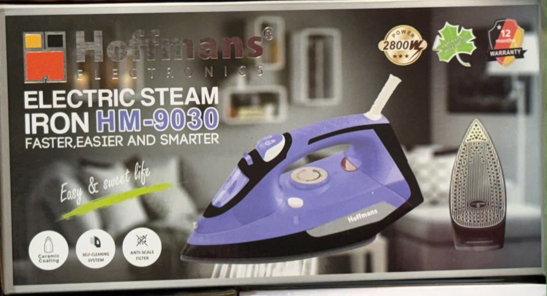 Electric Steam IRON