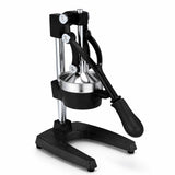 Manual Citrus press